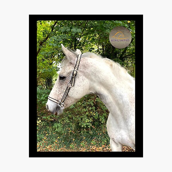 Rohan Collection Photographic Print