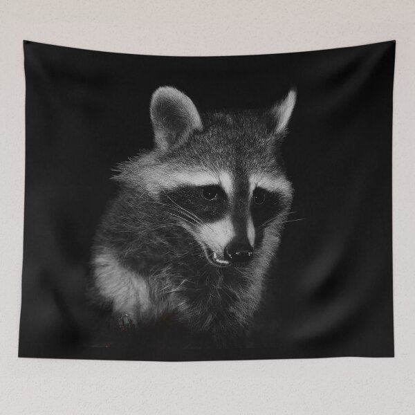 Item preview, Raccoon designed and sold by cherylorraine.