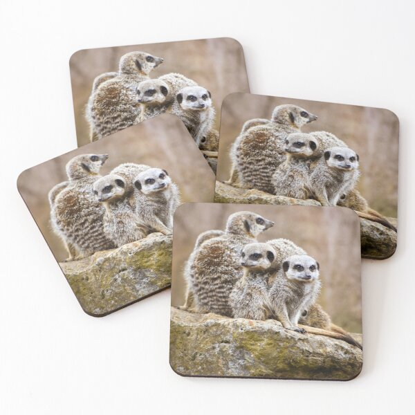Item preview, Huddle of meerkats designed and sold by cdkphotos.