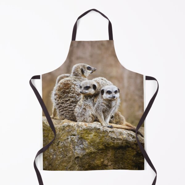 Item preview, Huddle of meerkats designed and sold by cdkphotos.