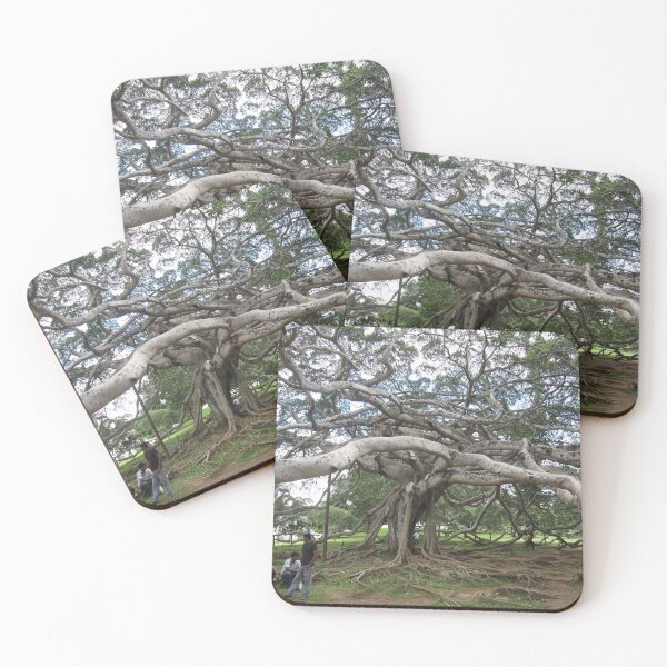 Item preview, The Ugly Tree...Sri Lanka.. designed and sold by ronsaunders47.