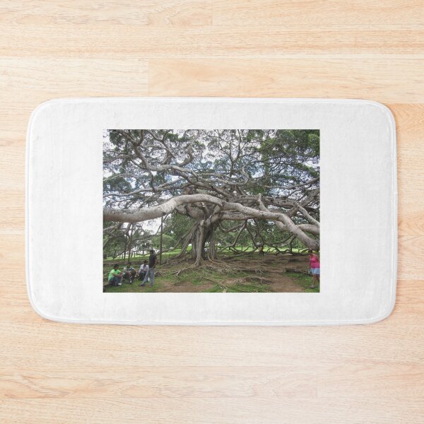 Item preview, The Ugly Tree...Sri Lanka.. designed and sold by ronsaunders47.