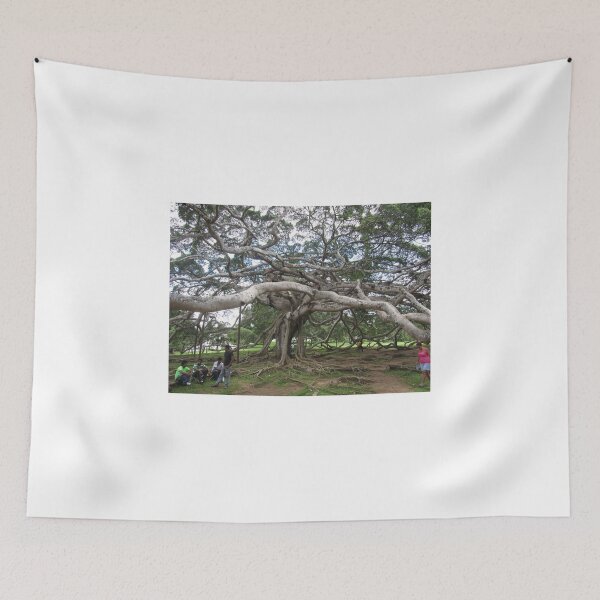 Item preview, The Ugly Tree...Sri Lanka.. designed and sold by ronsaunders47.