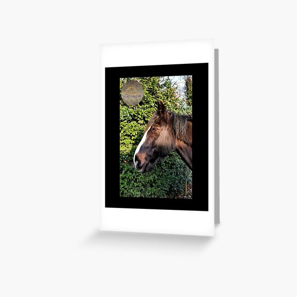 Mr P's Collection Greeting Card