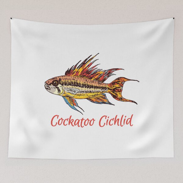 Item preview, Cockatoo Cichlid - For all Apistogramma lovers designed and sold by AquariumExp.