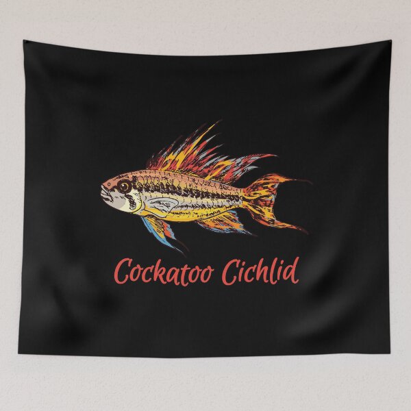 Item preview, Cockatoo Cichlid - For all Apistogramma lovers designed and sold by AquariumExp.