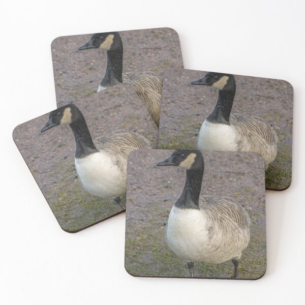 Item preview, Portrait od a Canada Goose Branta Canadensis designed and sold by Cameranick.