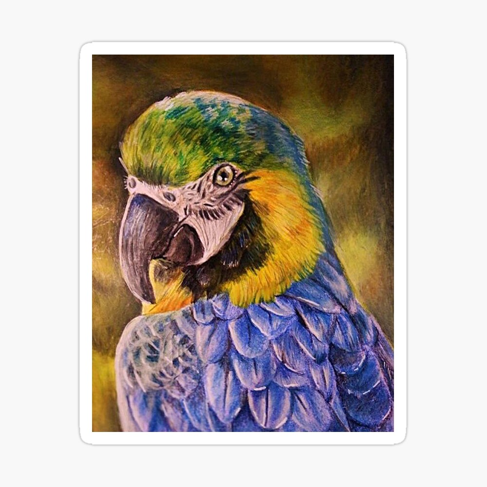 Blue and yellow macaw parrot brazil sketch vector illustration eps 10. |  CanStock