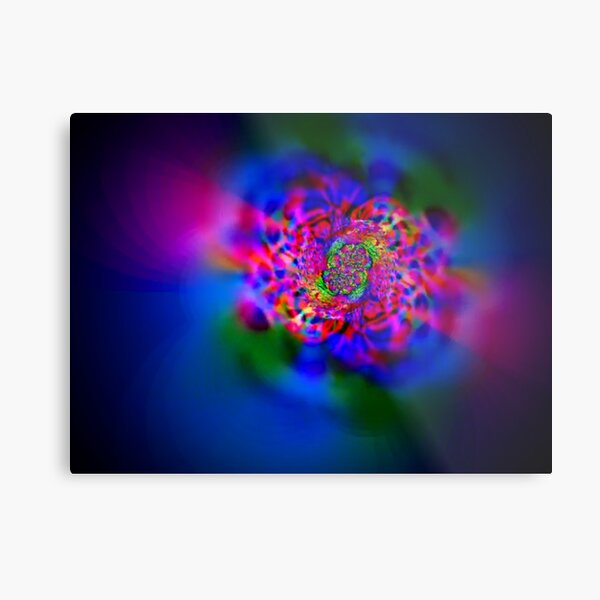 Metal Print