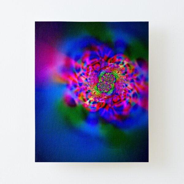 Canvas Mounted Print