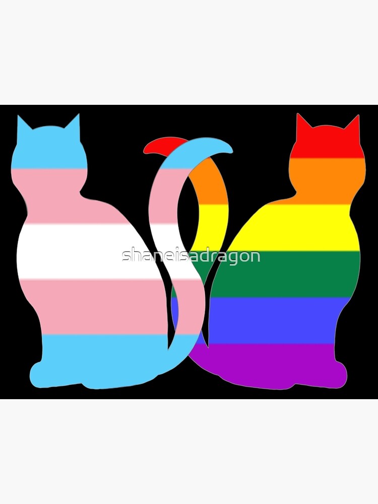 Gay Trans Pride Cats Art Print By Shaneisadragon Redbubble