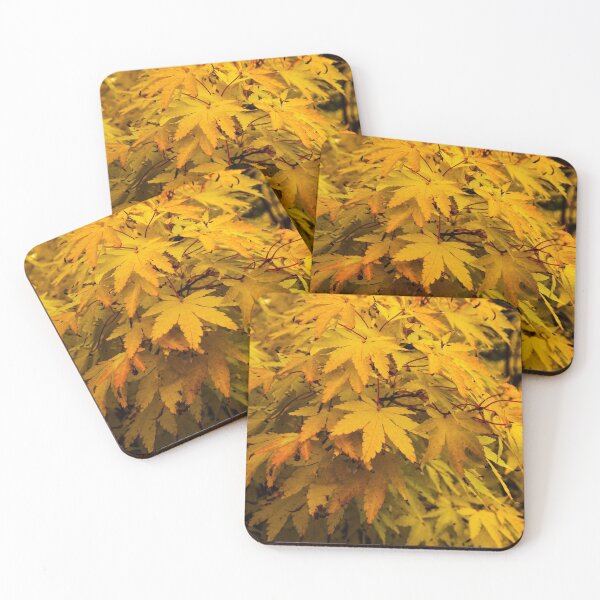 Item preview, Colourful Autumn Acer Leaves in October designed and sold by Cameranick.