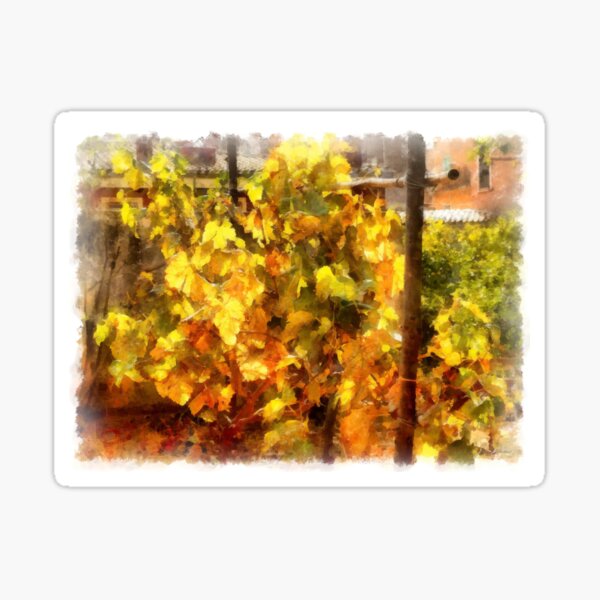Item preview, Vineyard designed and sold by Giuseppe Cocco.