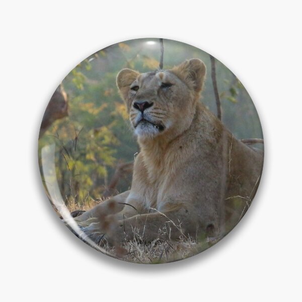 Item preview, Wild Asiatic Lion designed and sold by JerryTye.