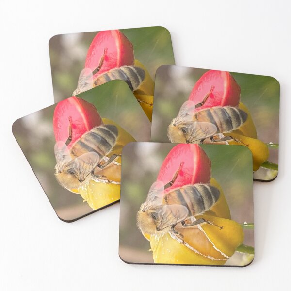 Item preview, Honey Bee Pollinating Flower Beekeeping Decor For Beekeepers designed and sold by JDMHoney.