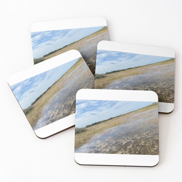 Item preview, Beautiful Forestry Photo of Florida Wetlands  designed and sold by JDMHoney.