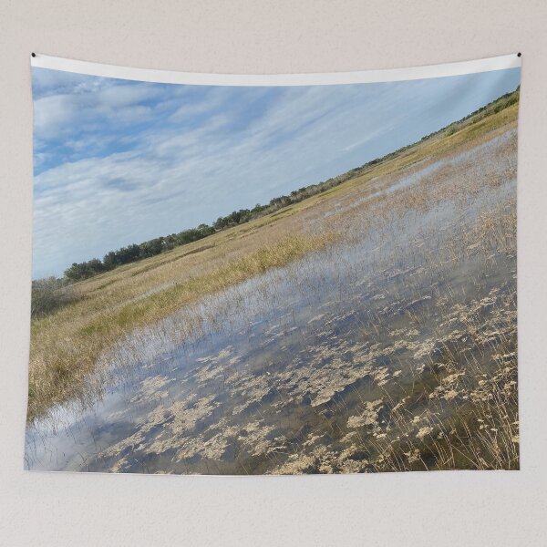 Item preview, Beautiful Forestry Photo of Florida Wetlands  designed and sold by JDMHoney.