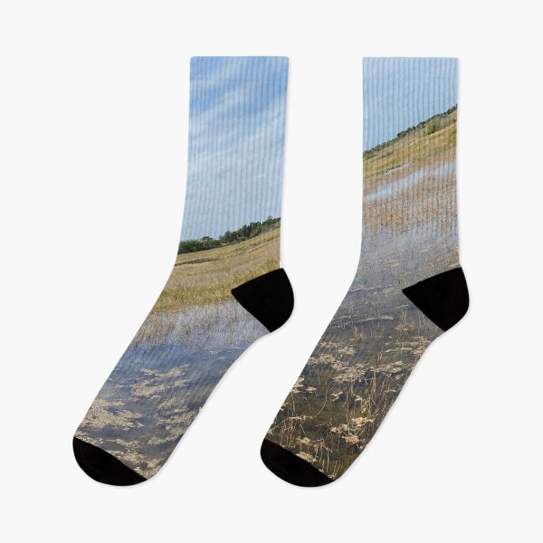 Item preview, Beautiful Forestry Photo of Florida Wetlands  designed and sold by JDMHoney.