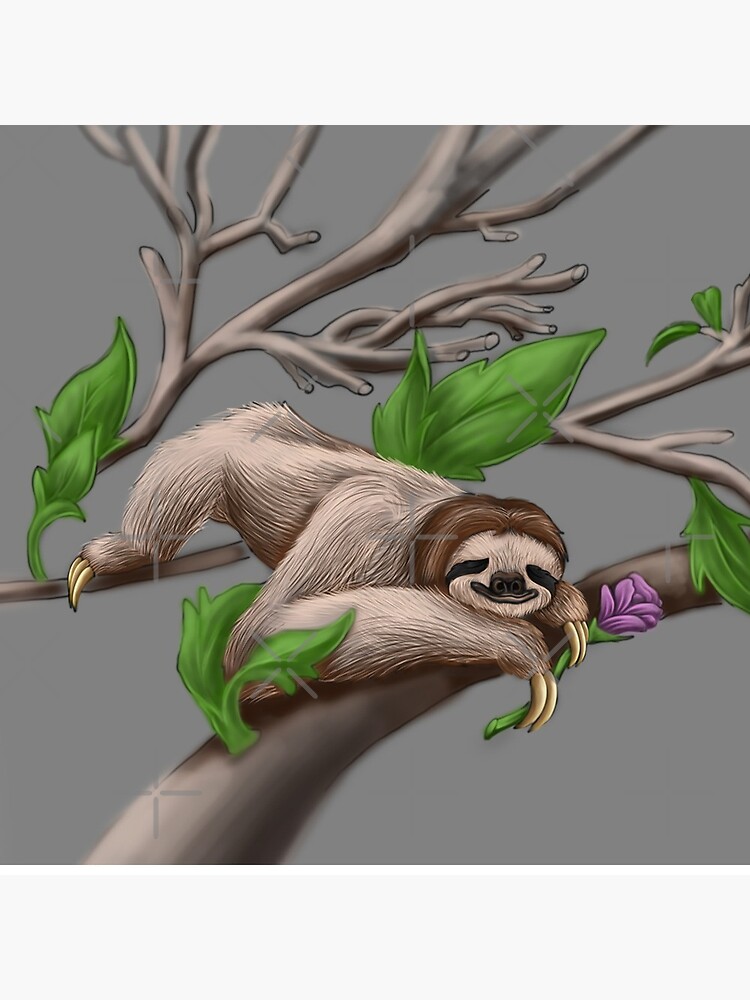 Just Chilin like a Sloth by snohock
