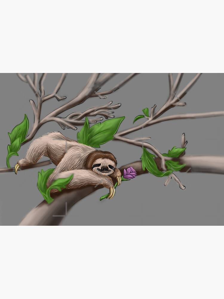 Just Chilin like a Sloth by snohock