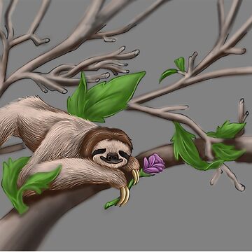 Artwork thumbnail, Just Chilin like a Sloth by snohock