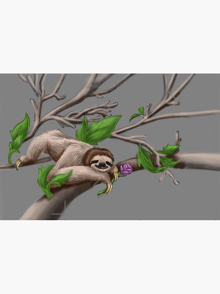 Just Chilin like a Sloth by snohock