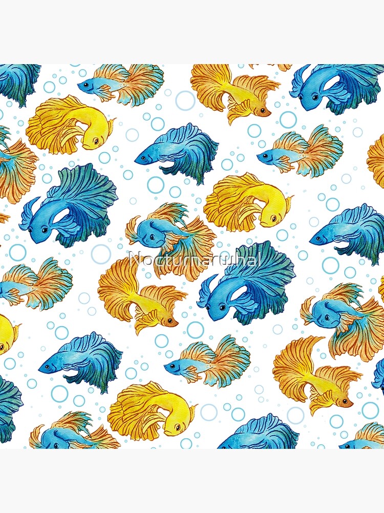 Beta Fish by Nocturnarwhal
