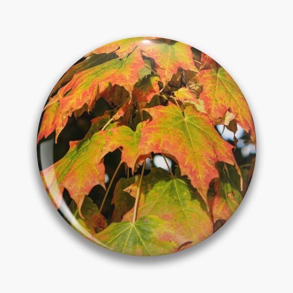 Artikelvorschau, Herbstfarbe entworfen und verkauft von Brenda Dickie.