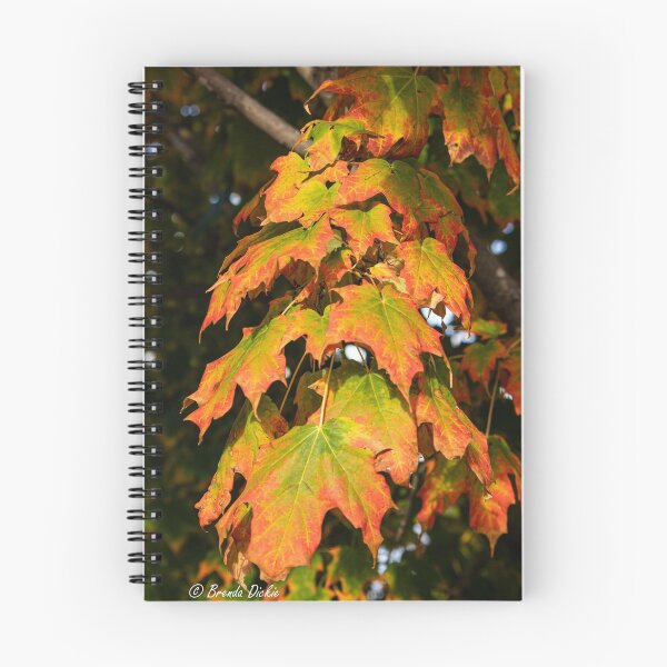 Item preview, Fall Colour designed and sold by Brenda Dickie.