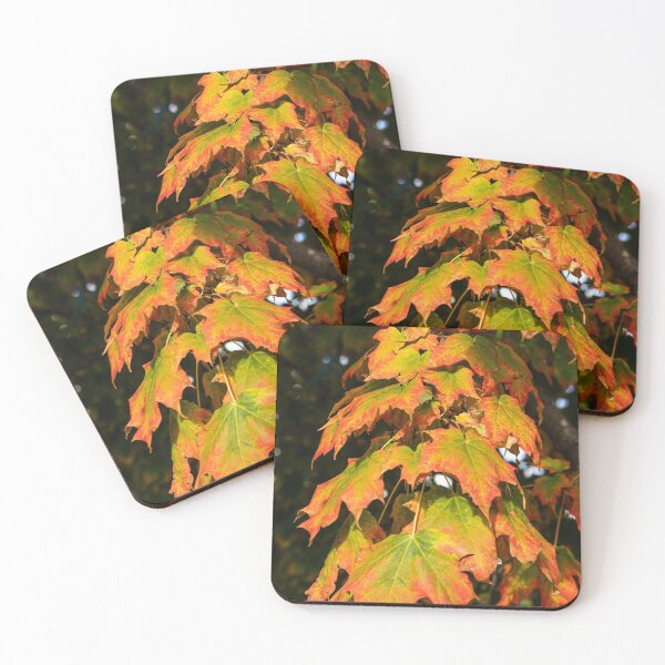 Item preview, Fall Colour designed and sold by Brenda Dickie.