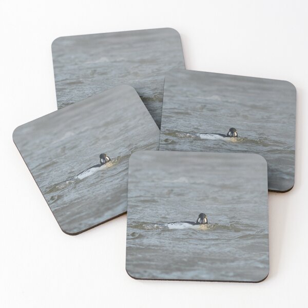 Item preview, Feeling a bit overloaded today. Common goldeneye designed and sold by Jouko Lehto Photography.