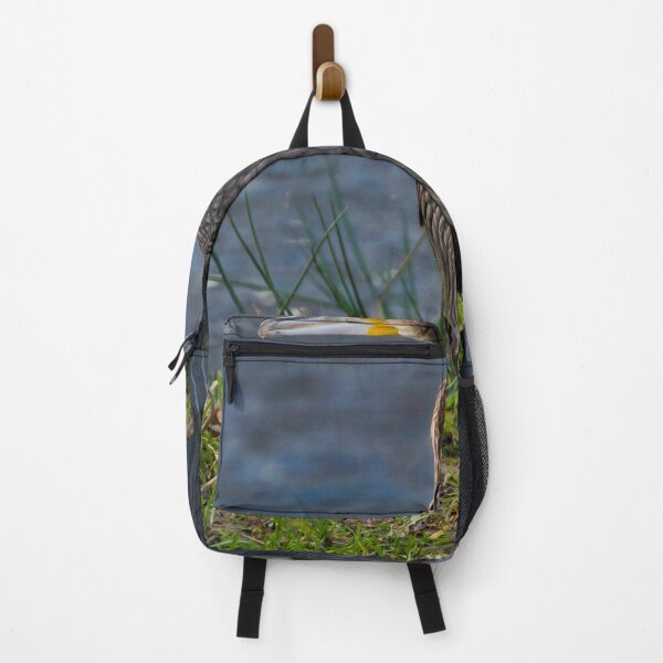 Item preview, Cormorant on the Water of Leith, Edinburgh. designed and sold by RobinDHunter.