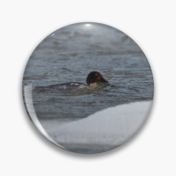 Item preview, That icy touch. Common goldeneye designed and sold by Jouko Lehto Photography.