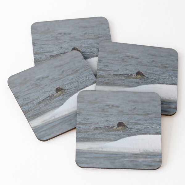 Item preview, That icy touch. Common goldeneye designed and sold by Jouko Lehto Photography.