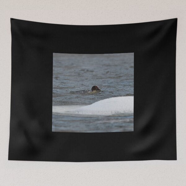 Item preview, That icy touch. Common goldeneye designed and sold by Jouko Lehto Photography.