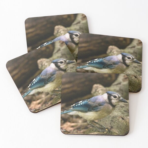 Item preview, Blue Jay in the park designed and sold by Brenda Dickie.