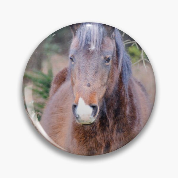 Item preview, Fluffy New Forest Pony designed and sold by Ksswaden.