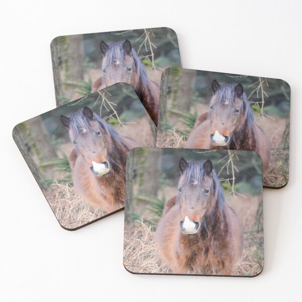 Item preview, Fluffy New Forest Pony designed and sold by Ksswaden.