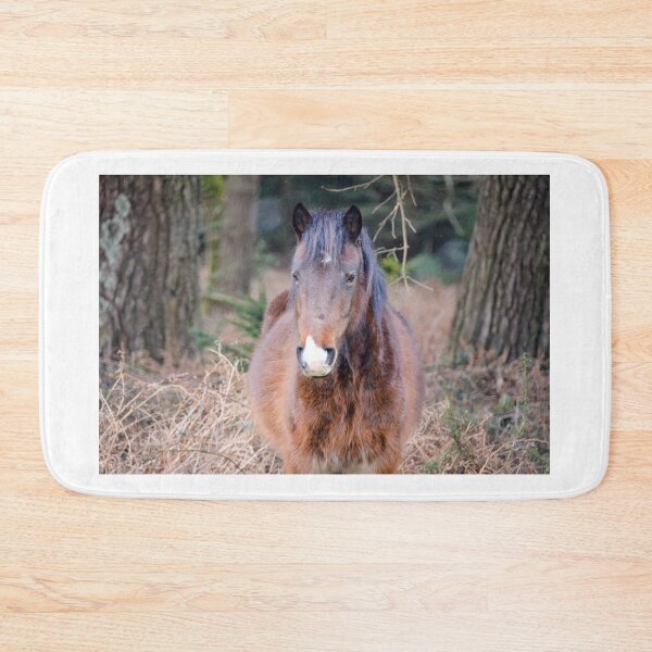Item preview, Fluffy New Forest Pony designed and sold by Ksswaden.