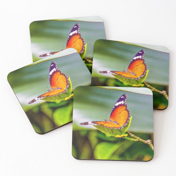 Item preview, A beautiful Exotic Butterfly designed and sold by Gary Osborne.