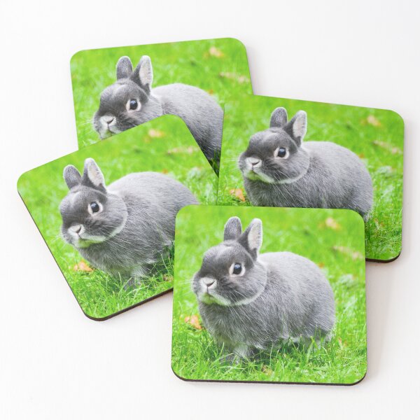 Item preview, Netherland Dwarf, Silver designed and sold by Ksswaden.