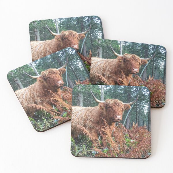 Item preview, Scottish Highland Cattle Cow 2134 designed and sold by SaarelaHighland.
