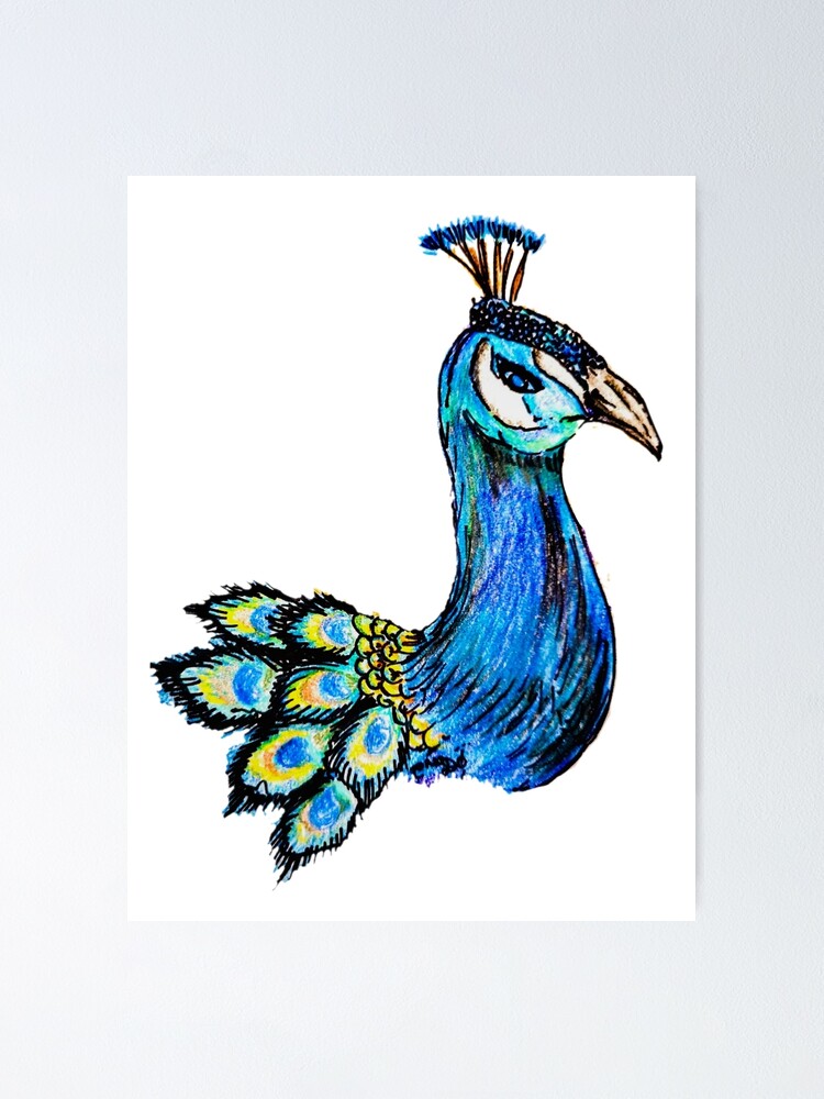 Bold Coloured Bird - Peacock by FionaCreates - Make better art | CLIP  STUDIO TIPS