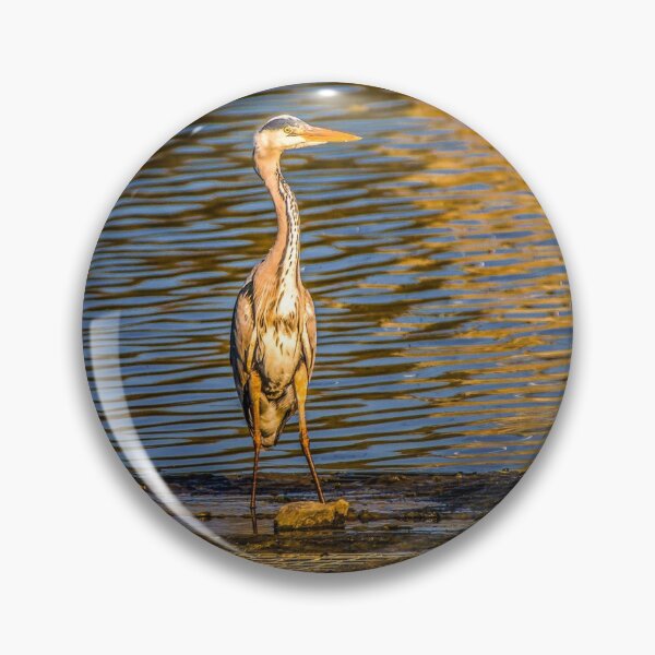 Item preview, Evening light by the water designed and sold by Gary Osborne.