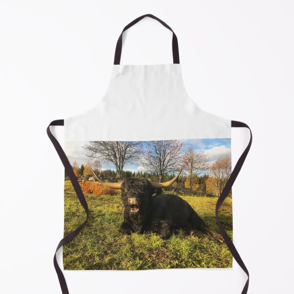 Item preview, Scottish Highland Cattle Bull 2137 designed and sold by SaarelaHighland.