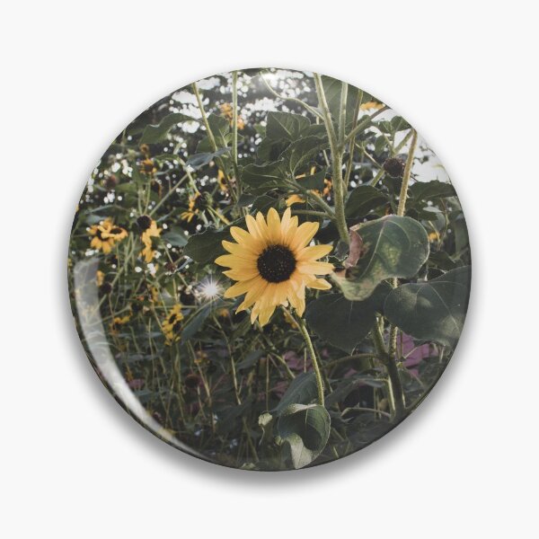 Artikelvorschau, (Sonnenblume entworfen und verkauft von 3mjb.