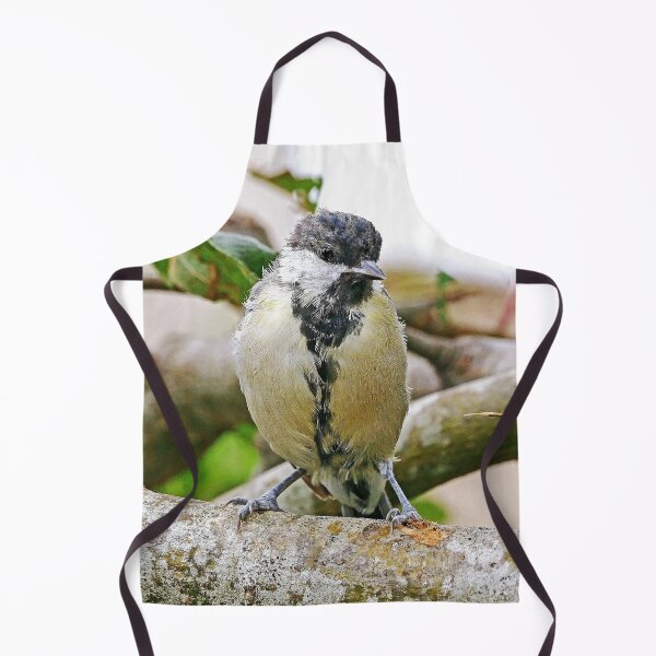 Item preview, r1484/ New Finition -  2021 -  mésange  b 32 (c)(t)   Olavia-Olao  Okaio Créations  designed and sold by o.okaïo.