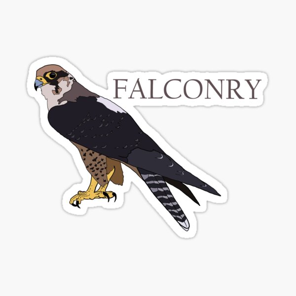 Item preview, Falconry designed and sold by Jlouieasy.