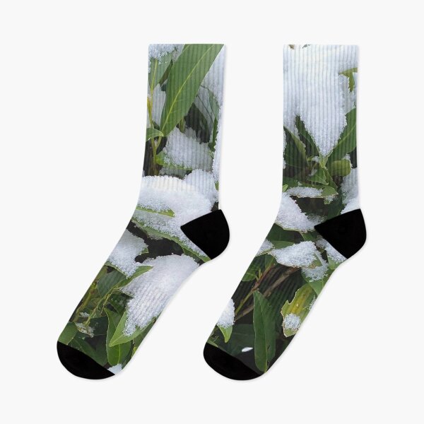 Item preview, Snow on green leafs, pure nature in the wintermood designed and sold by Between Clouds.
