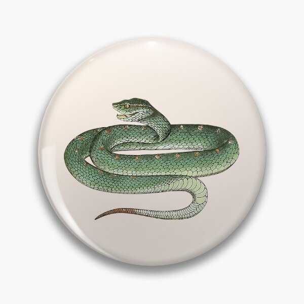 Item preview, Green Snake Chrysopelea Ornata designed and sold by TheaDesign.